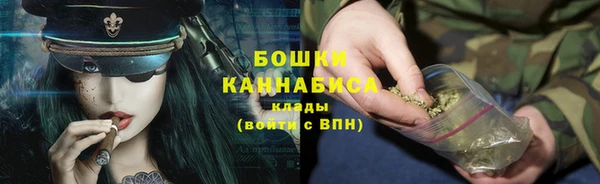 дживик Липки