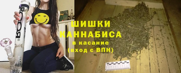 дживик Липки
