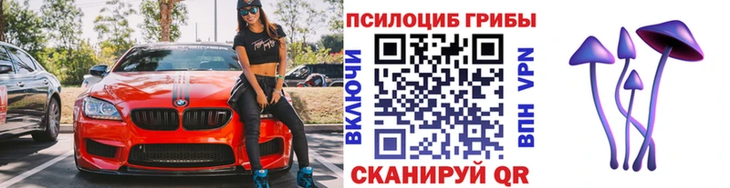 Псилоцибиновые грибы мухоморы  Купить закладки  Топки 